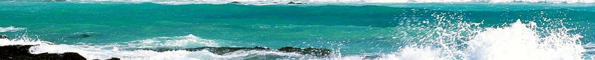 Willkommen auf Wolfgang Utz's Sportboot Seite