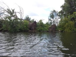 Dove_Elbe_erste_Tour_26_05_2018