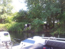 Jungfernfahrt Dove Elbe