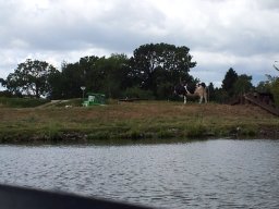 Jungfernfahrt Dove Elbe