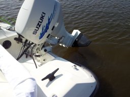 Hydrofoils und Schrauben abstimmen