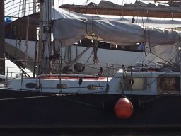 Hydrofoils und Schrauben abstimmen