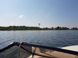 Dove_Elbe_18_05_2019