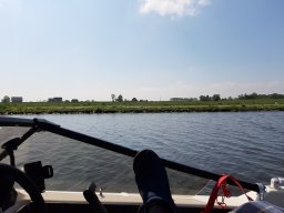 Relaxen Dove Elbe