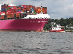 Finkenwerder Bunkerreste