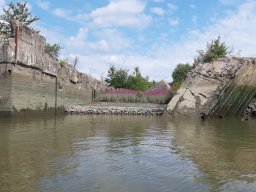 Finkenwerder Bunkerreste