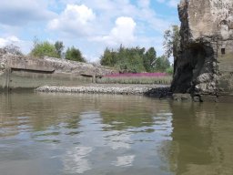 Finkenwerder Bunkerreste