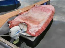 Malchow Familien Trip