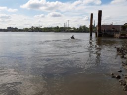 Corona Tour Norder-Süder-Elbe-Dove