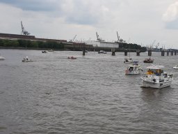 Demo_rettet_die_dove_elbe_25_07_2020