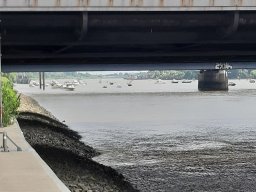 SchiffsDemo rettet die Dove Elbe