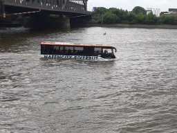 SchiffsDemo rettet die Dove Elbe