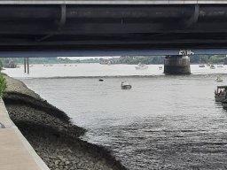 SchiffsDemo rettet die Dove Elbe