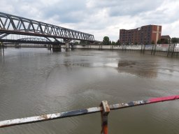 SchiffsDemo rettet die Dove Elbe