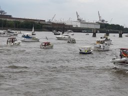 SchiffsDemo rettet die Dove Elbe