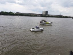 SchiffsDemo rettet die Dove Elbe