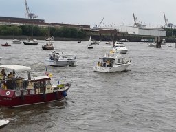 SchiffsDemo rettet die Dove Elbe