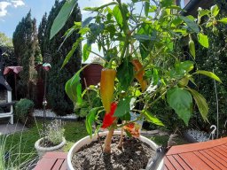 TatenbergSchleuse Schraube tauschen Testfahrt