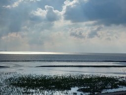 Holland_Hamburg_17_09_2023_050