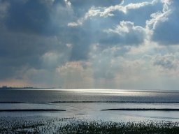 Holland_Hamburg_17_09_2023_053