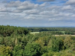 Holland_Hamburg_17_09_2023_076