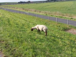 Holland Nordsee 19.10.2023