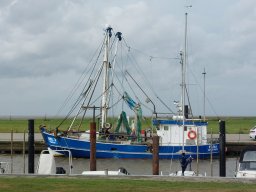 Holland Nordsee 19.10.2023