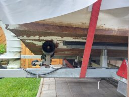 algenbelag_002