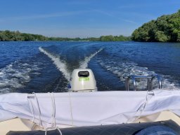 dove_23-05-26_011