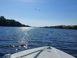 dove_23-05-26_012