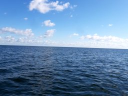 Ostsee Trave 11.08.2022