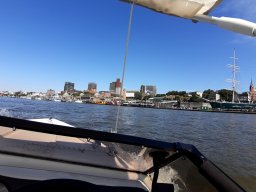 Elbe Schweinesand 15.08.2022