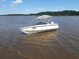 Elbe Schweinesand 15.08.2022