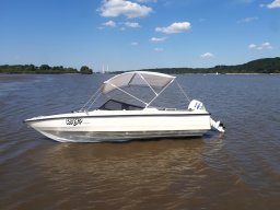 Elbe Schweinesand 15.08.2022