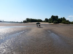 Elbe Schweinesand 15.08.2022