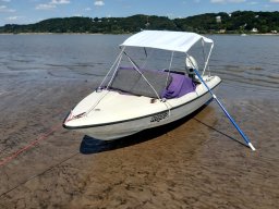 Elbe Schweinesand 15.08.2022