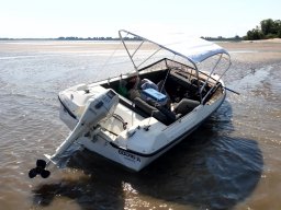 Elbe Schweinesand 15.08.2022