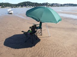 Elbe Schweinesand 15.08.2022