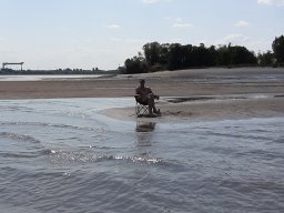 Elbe Schweinesand 15.08.2022