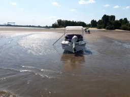 Elbe Schweinesand 15.08.2022