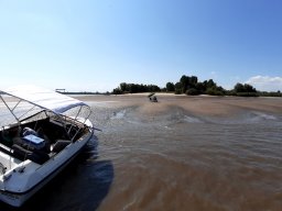 Elbe Schweinesand 15.08.2022