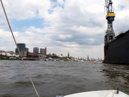 Elbe Schweinesand 15.08.2022