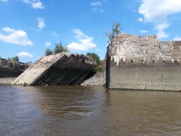 Elbe Schweinesand 15.08.2022