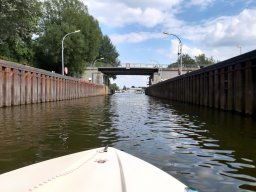 Elbe Schweinesand 15.08.2022