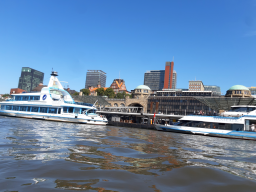 Elbe Schweinesand 15.08.2022