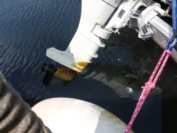 Dove Elbe Nettelnburg 21.06.2026