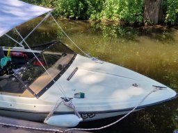 Dove Elbe Nettelnburg 21.06.2026