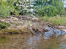 026-13052025_solotour