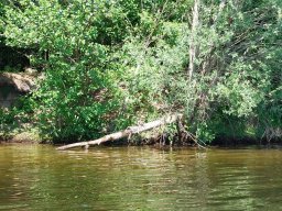 027-13052025_solotour