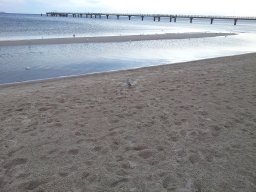 Ein Wochenende in Ahlbeck